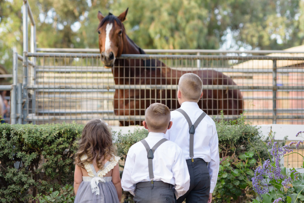 Wozniak_Wedding_112 Children looking at the brown horse at The Red Horse Barn Wedding Venue