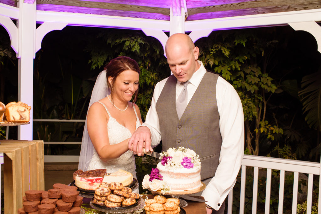 Wozniak_Wedding_538 Night Time Wedding Cake Cutting at Reception The Red Horse Barn